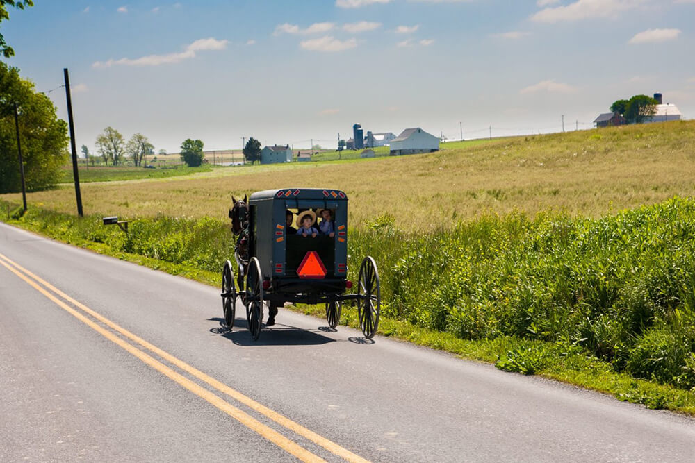 A horse and buggy carrying multiple people appears traveling on a road in Philadelphia's Countryside. The double yellow lines run down the middle of the street. The horse and buggy are off to the right of the lines. To the right, there is a sprawling open field with buildings shown off in the distance.