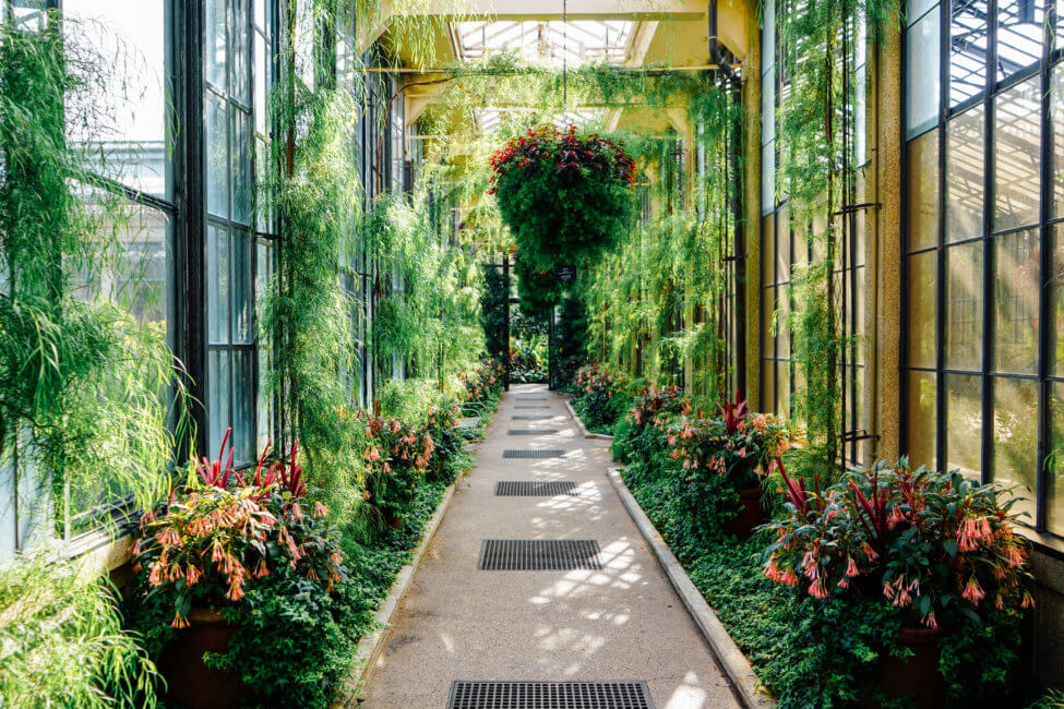 An indoor garden at Longwood Gardens in Philadelphia's Countryside is filled with lush green trees and plants lining a walkway. Windows on the sides and the ceiling are letting in natural light. A large floral arrangement hangs from the ceiling.