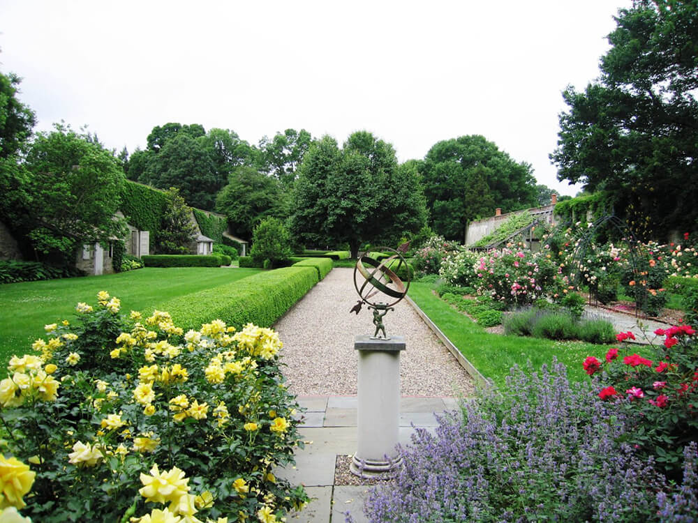 An outdoor garden in Philadelphia's Countryside is filled with lush green lawns and colorful flowers. A large bush with yellow flowers is shown in the bottom left-hand corner. To the right, there are beautiful purple flowers and red roses blooming. Along the left side, there are bushes with pink flowers blossoming. A sculpture is in the center.