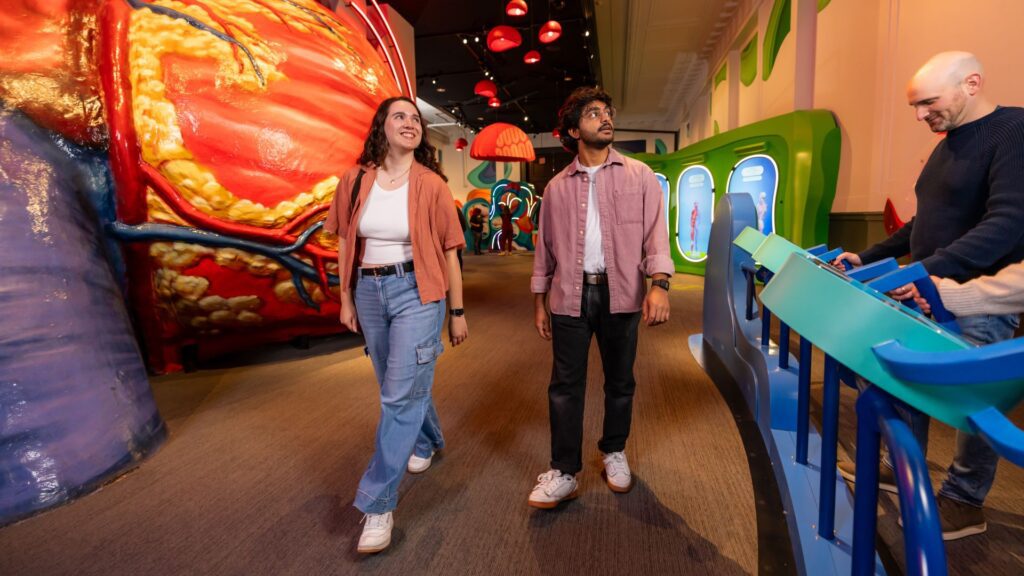 Two people, one in a pink shirt, one in a brown top, walk past the Giant Heart and The Franklin Institute's reimagined Body Odyssey exhibition. 