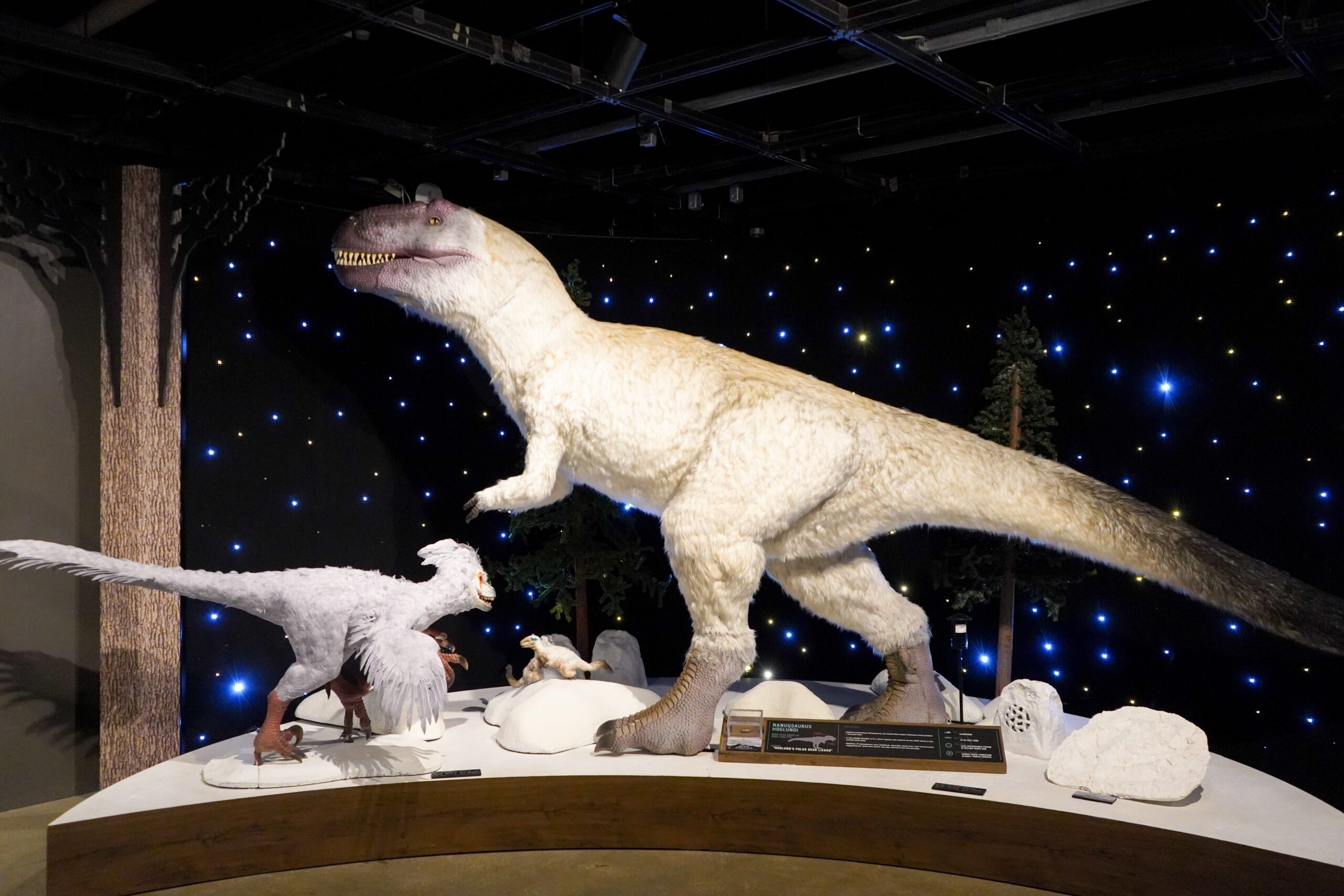 Two dinosaurs from the artic circle displayed at Ice Dinosaurs at the Academy of Natural Sciences.