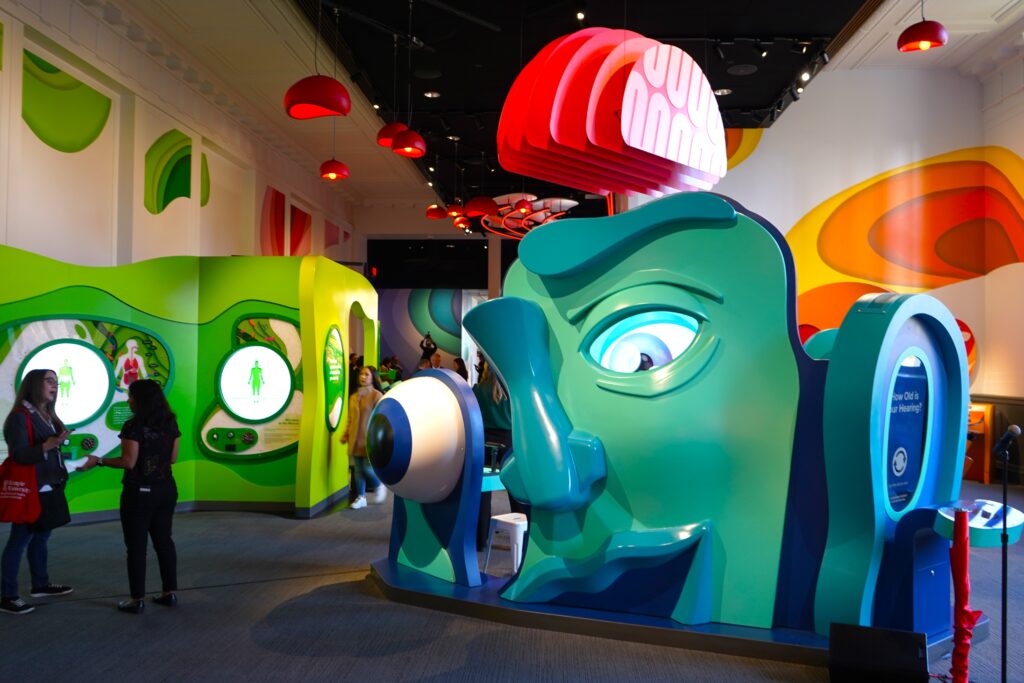 A colorful human head instillation with a protruding eye and brain in The Franklin Institute's reimagined Body Odyssey exhibition. 