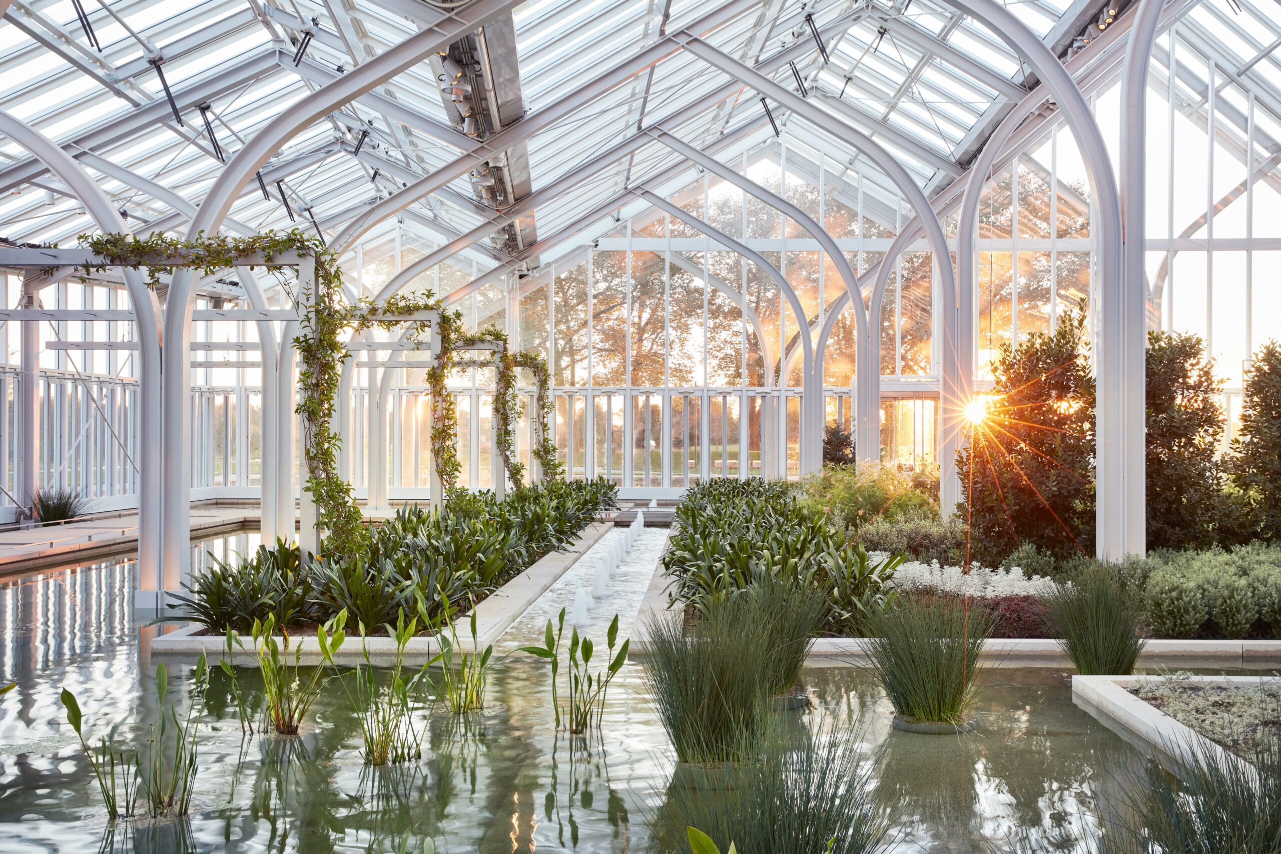 Sunlight shines through the green house at Longwood Reimagined.