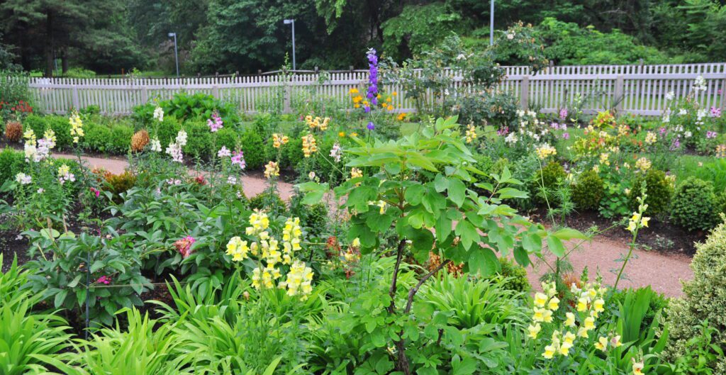 The Carr Garden at Bartram's Garden